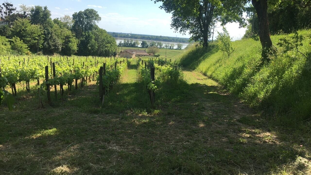 Photo of Outdoor in Bourg-sur-Gironde