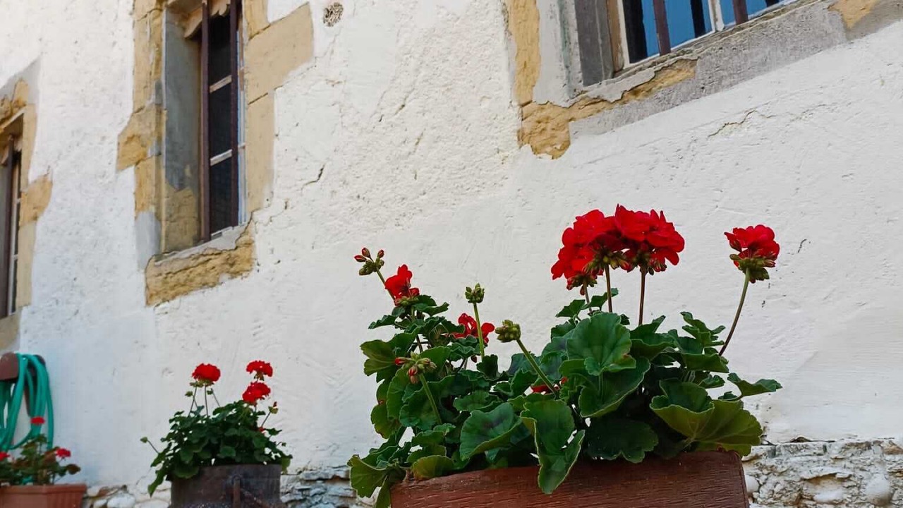 Photo of Outdoor in Samadet