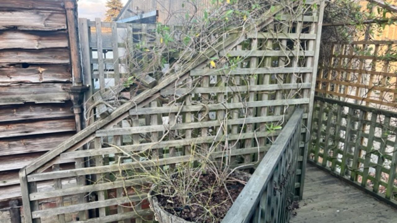 Photo of Patio Balcony in Cambridge