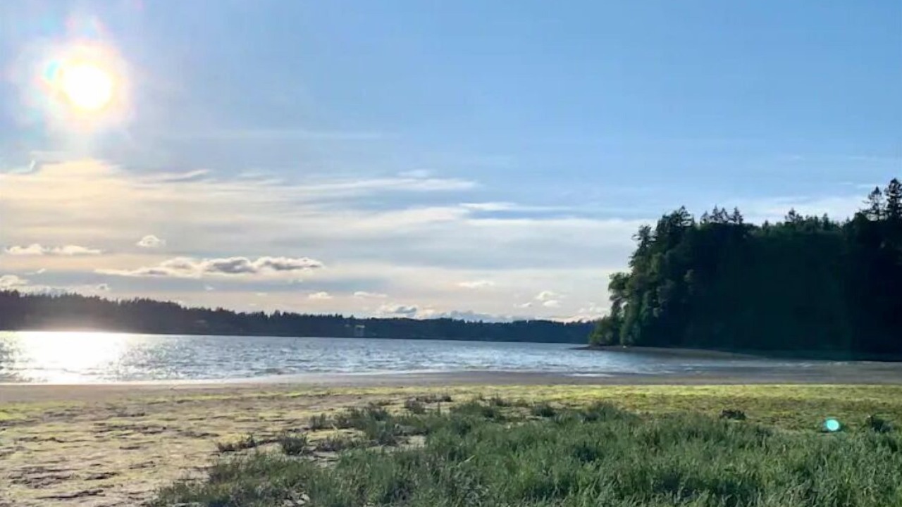 Photo of Others in East Bay Drive