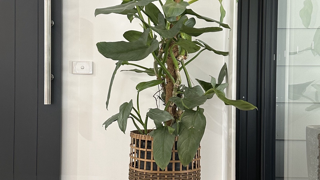 Photo of Others in Eildon