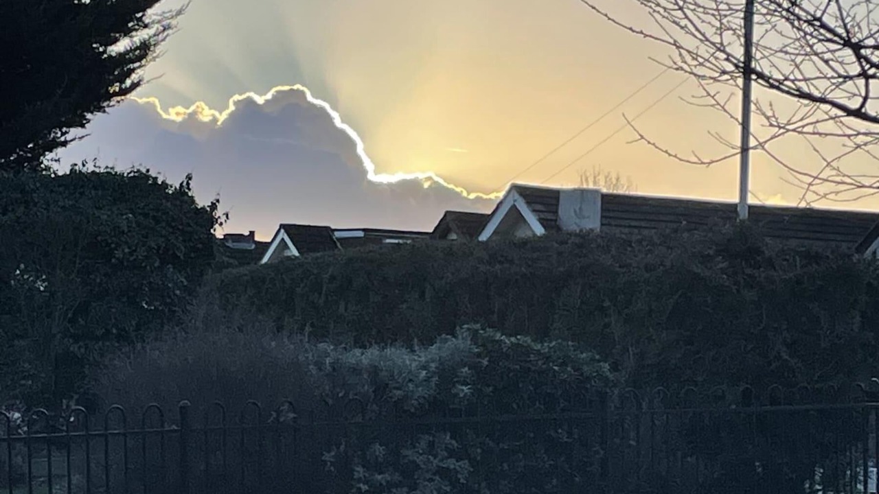 Photo of Others in Hillingdon East