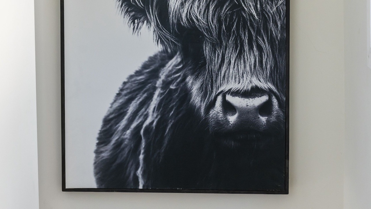 Photo of Others in Terrebonne