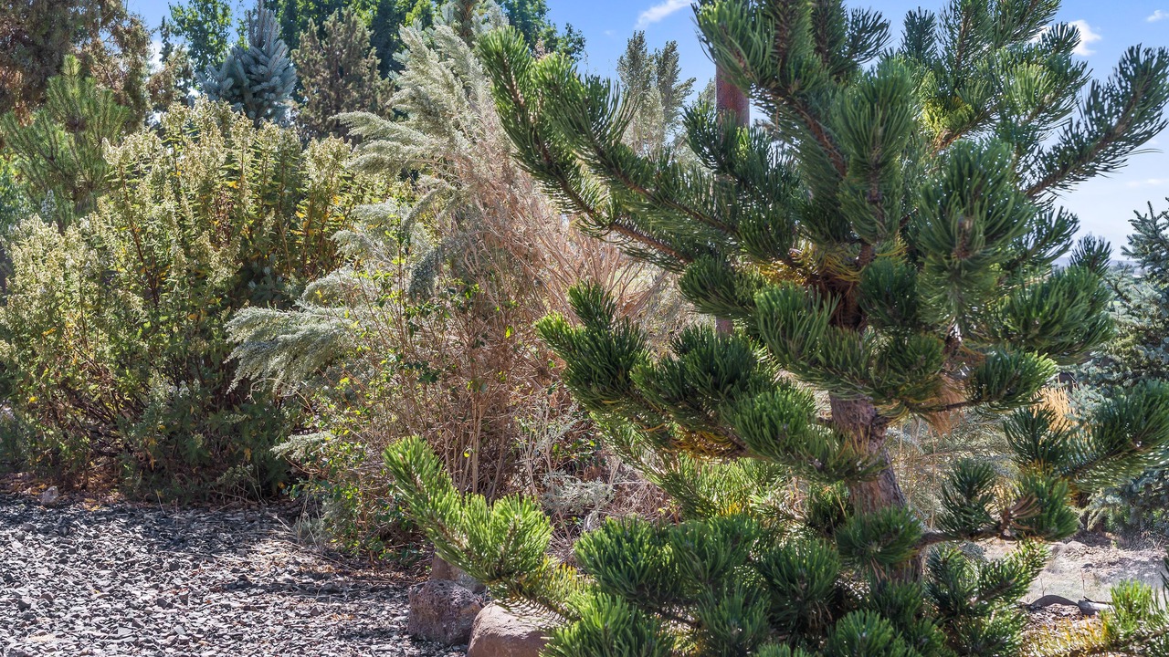 Photo of Outdoor in Terrebonne