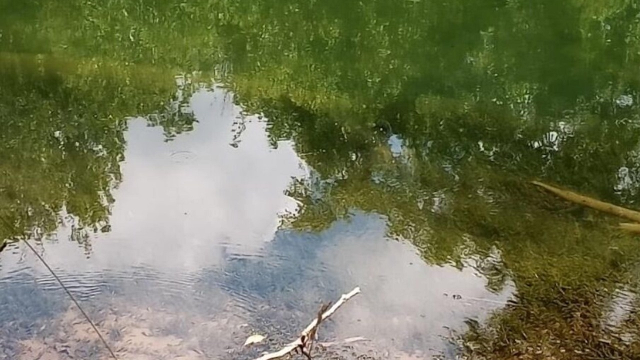 Photo of Outdoor in Watauga
