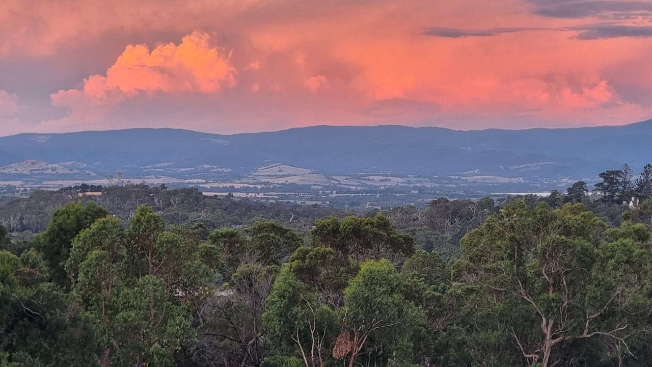 Photo of Outdoor in Lilydale