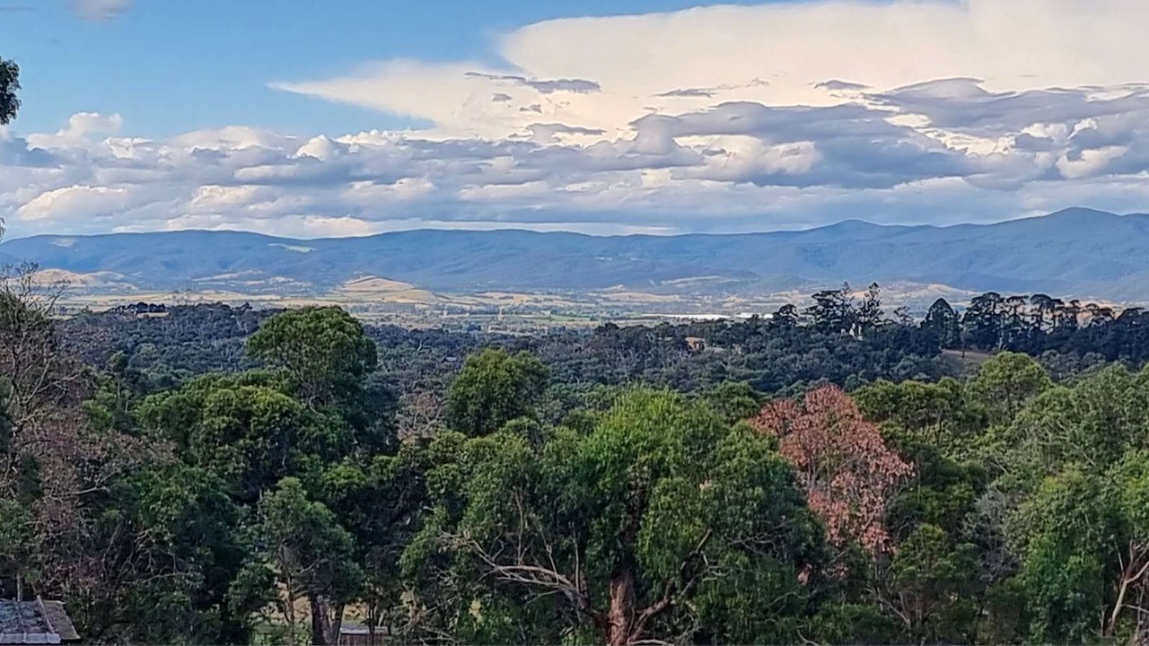 Photo of Others in Lilydale