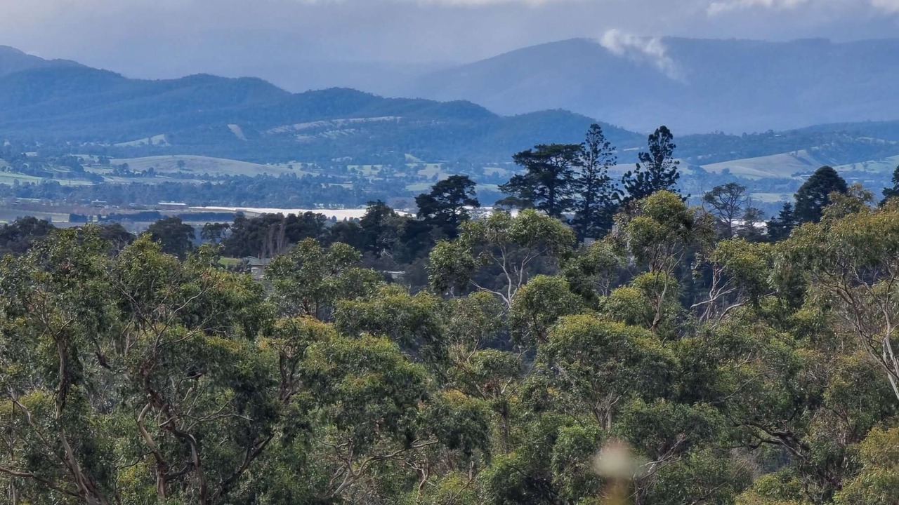 Photo of Others in Lilydale