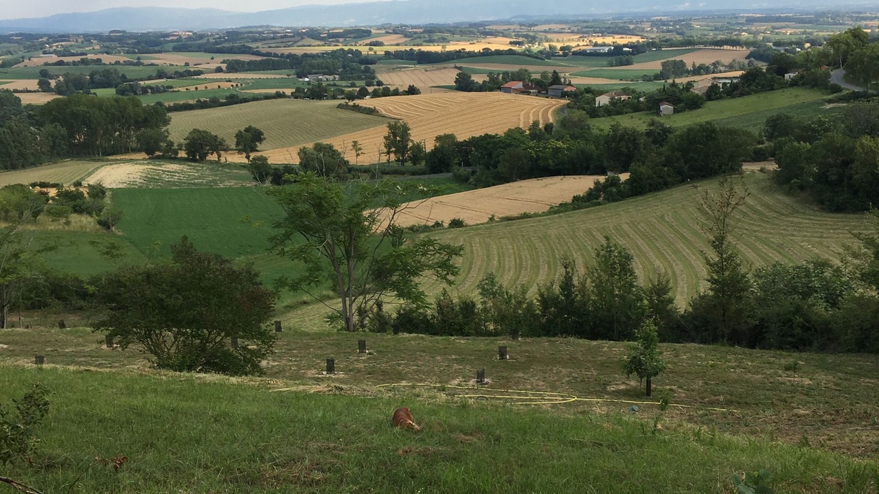 Photo of Outdoor in Lautrec