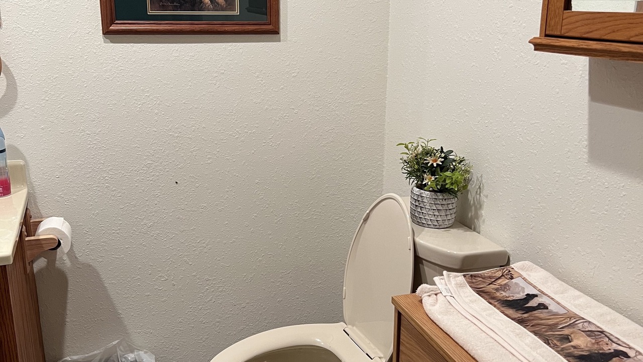 Photo of Bathroom in Plano
