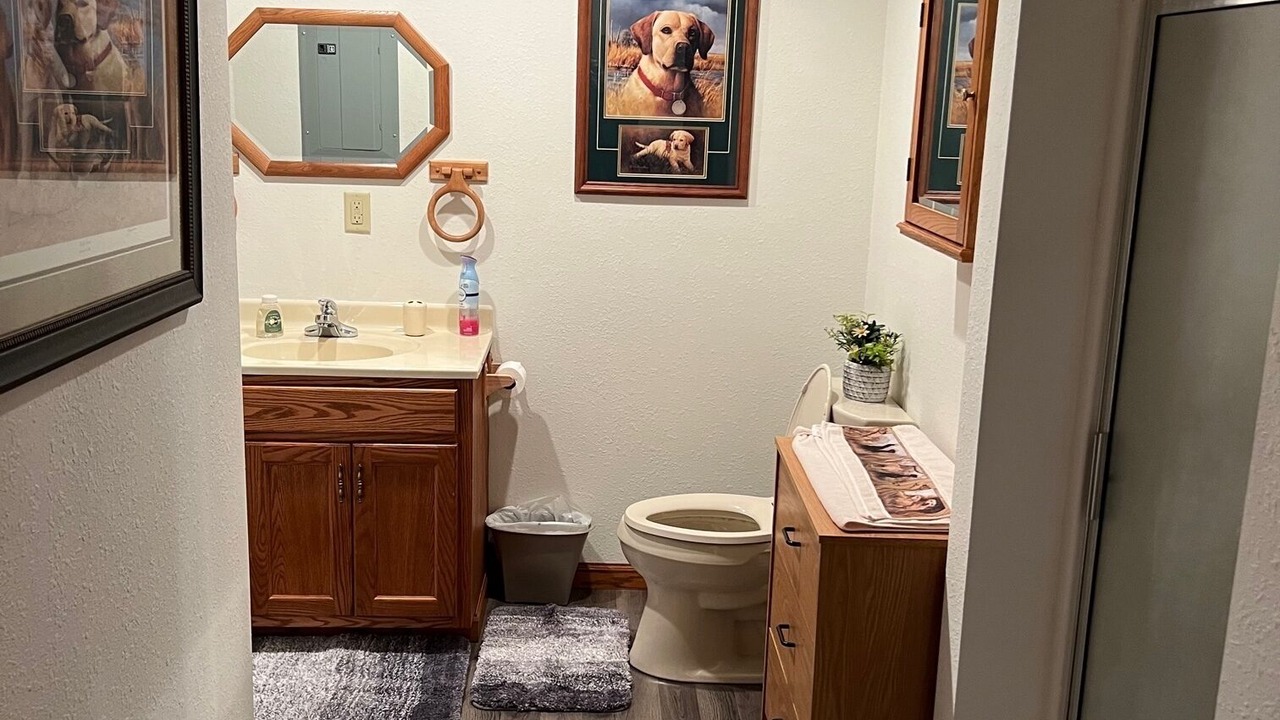 Photo of Bathroom in Plano