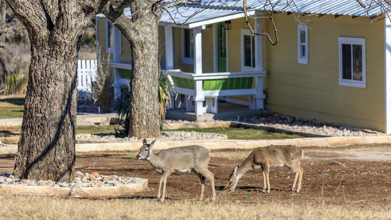 Photo of Outdoor in Fredericksburg