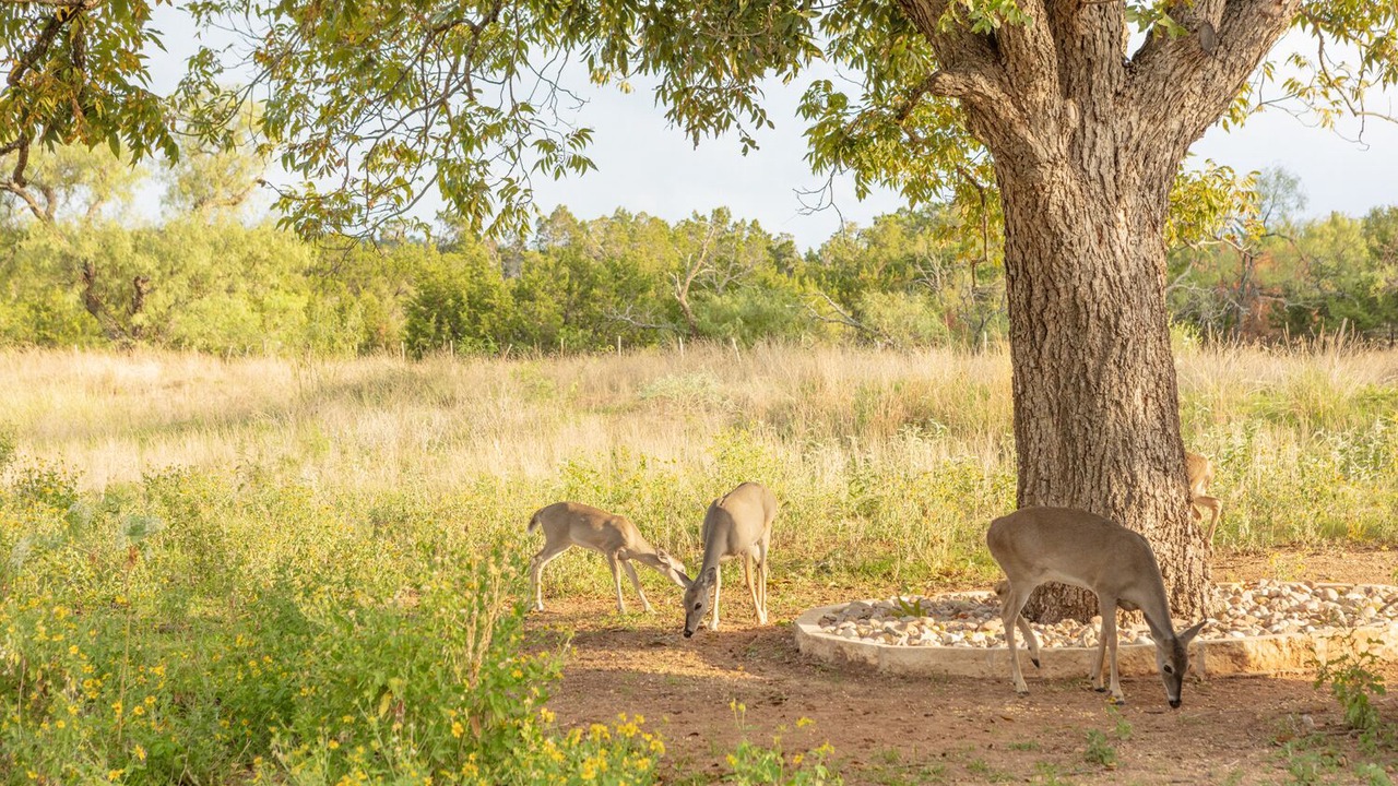 Photo of Outdoor in Fredericksburg