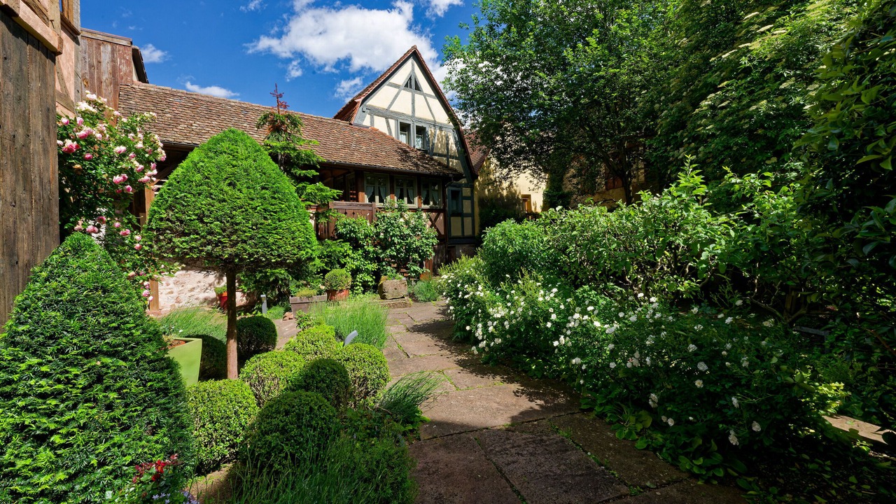 Photo of Outdoor in Riquewihr