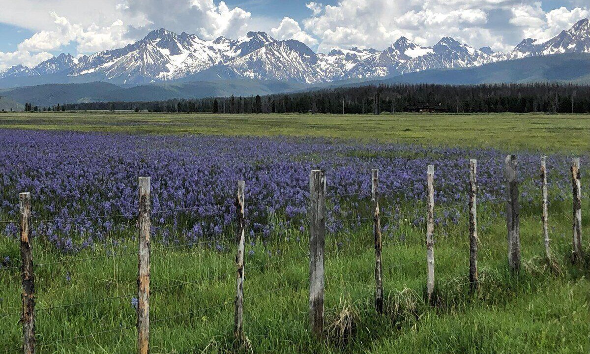 Photo of Others in Stanley