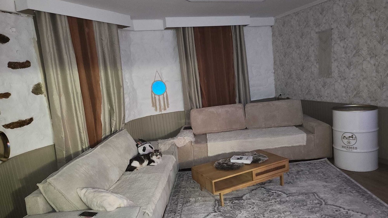 Photo of Livingroom in Oisseau