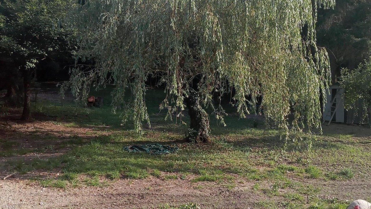 Photo of Outdoor in Bitschwiller-les-Thann