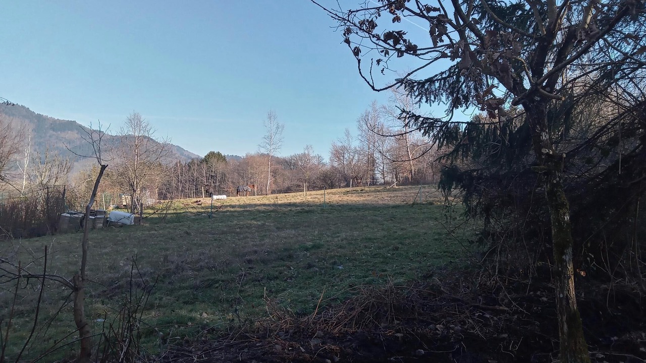 Photo of Outdoor in Bitschwiller-les-Thann