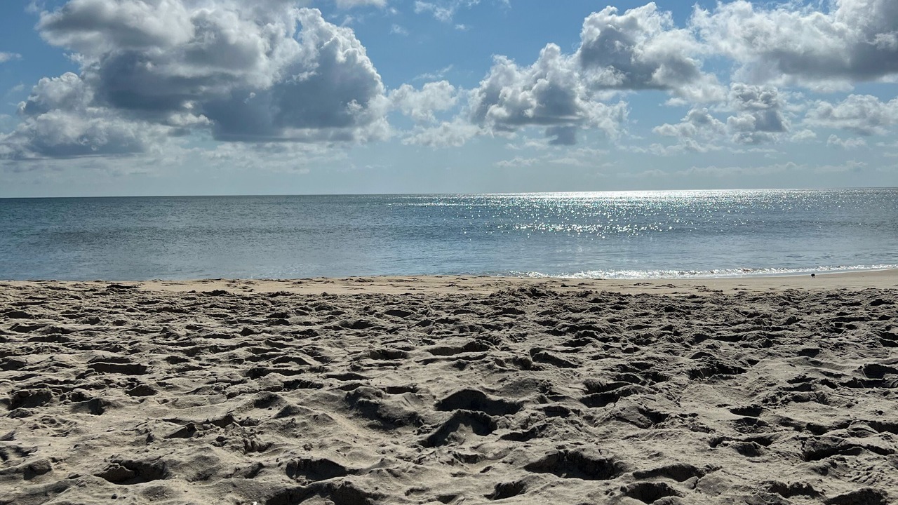 Photo of Others in Ocean Sands