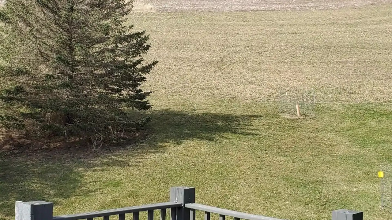 Photo of Outdoor in Arcadia