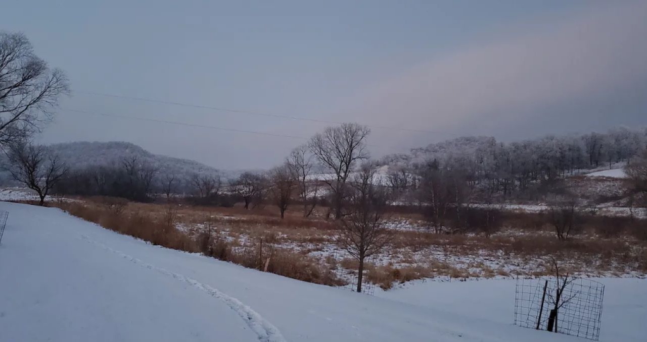Photo of Outdoor in Arcadia