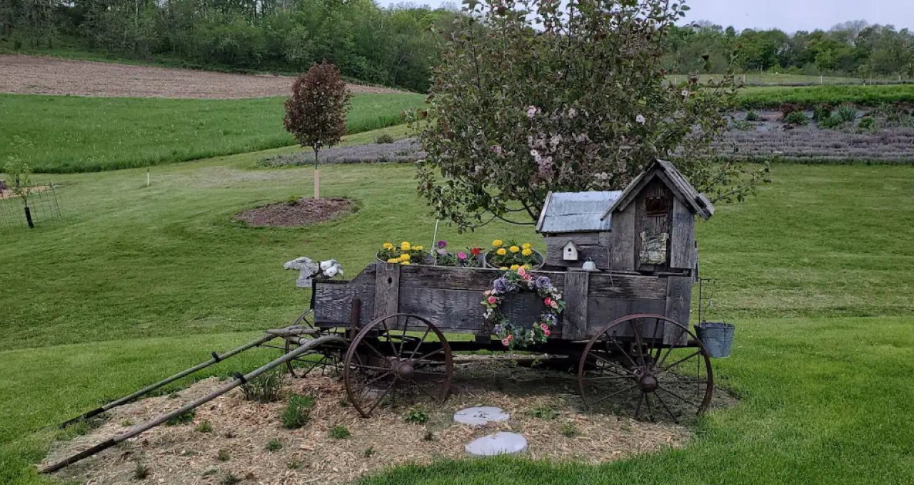 Photo of Outdoor in Arcadia