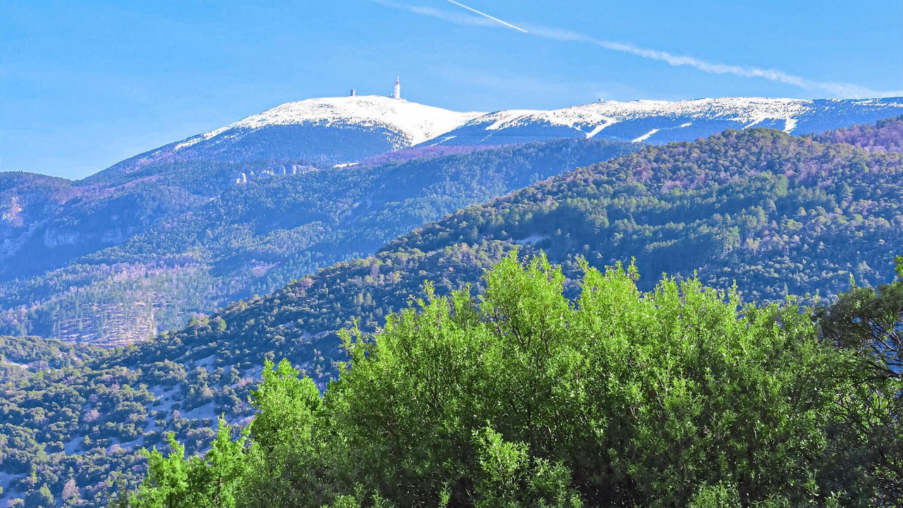 Photo of Others in Propiac