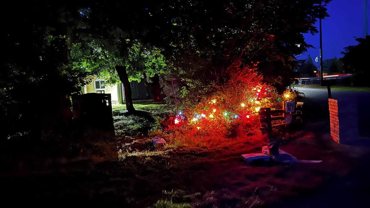 Photo of Outdoor in Smokey Point