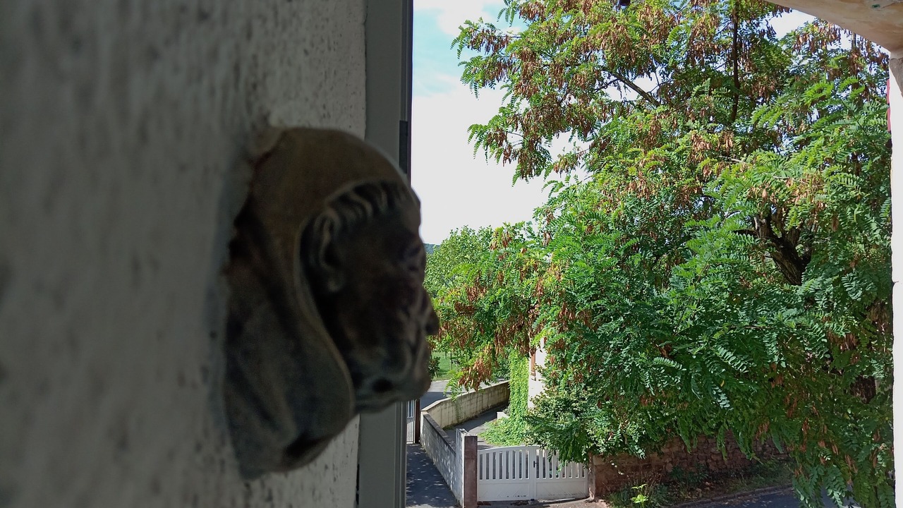 Photo of Outdoor in Viala-du-Tarn