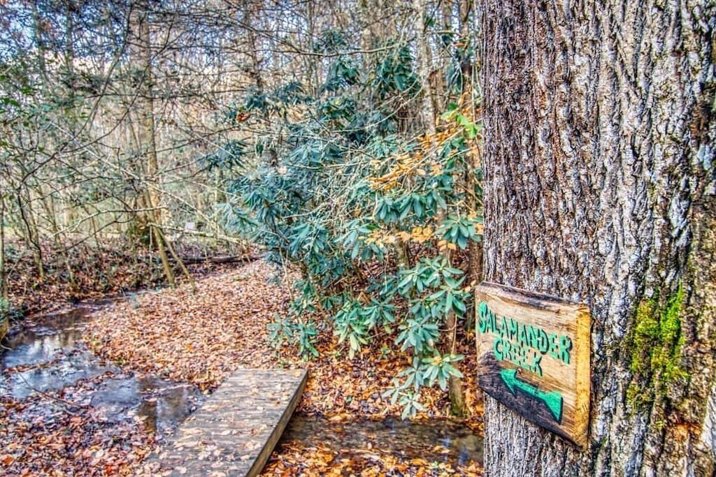 Photo of Outdoor in Cosby