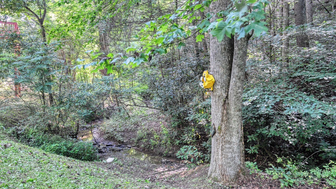 Photo of Outdoor in Cosby