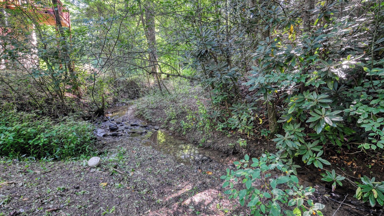 Photo of Outdoor in Cosby