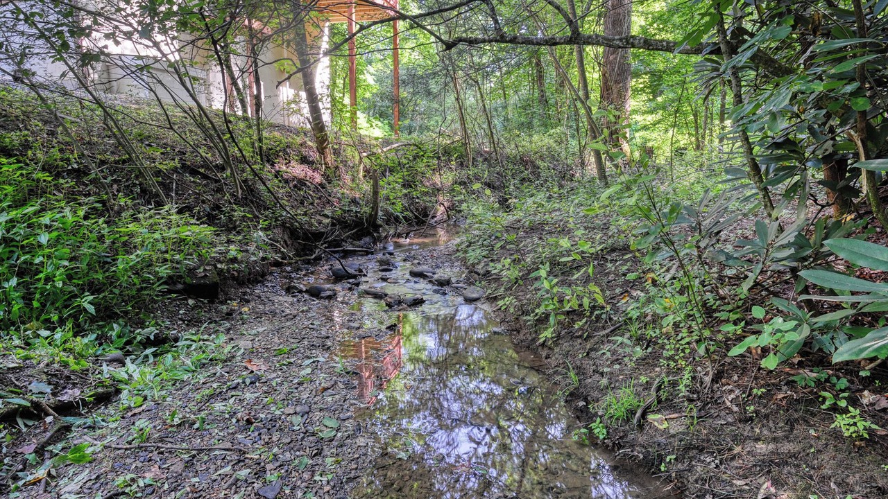 Photo of Outdoor in Cosby