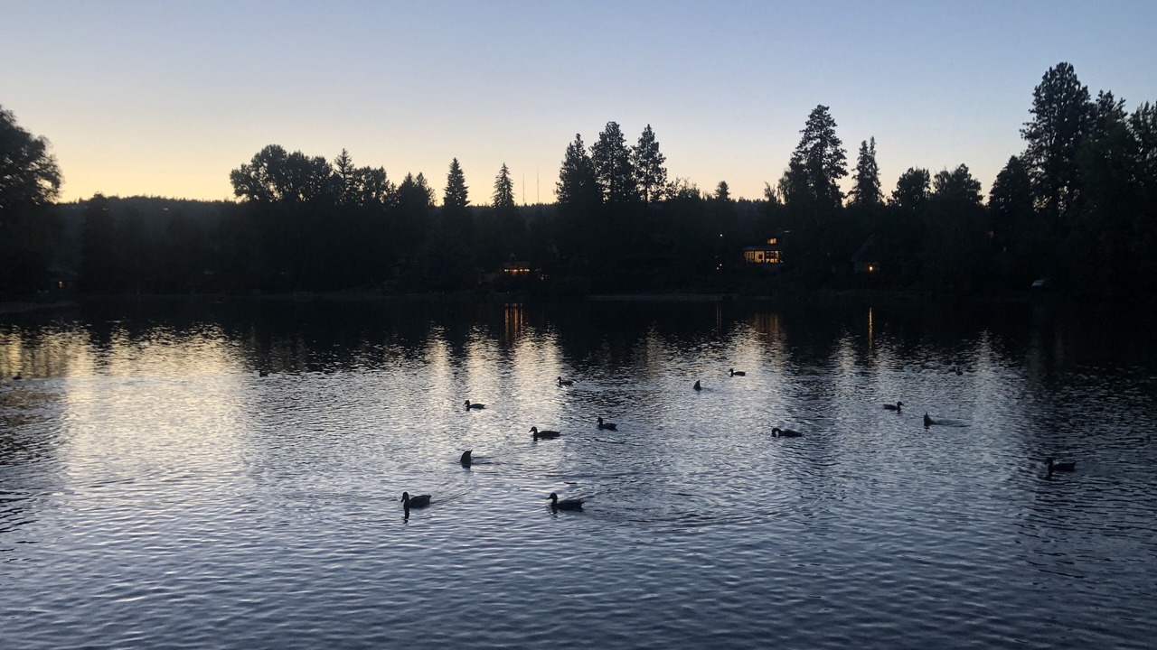 Photo of Others in Southern Crossing