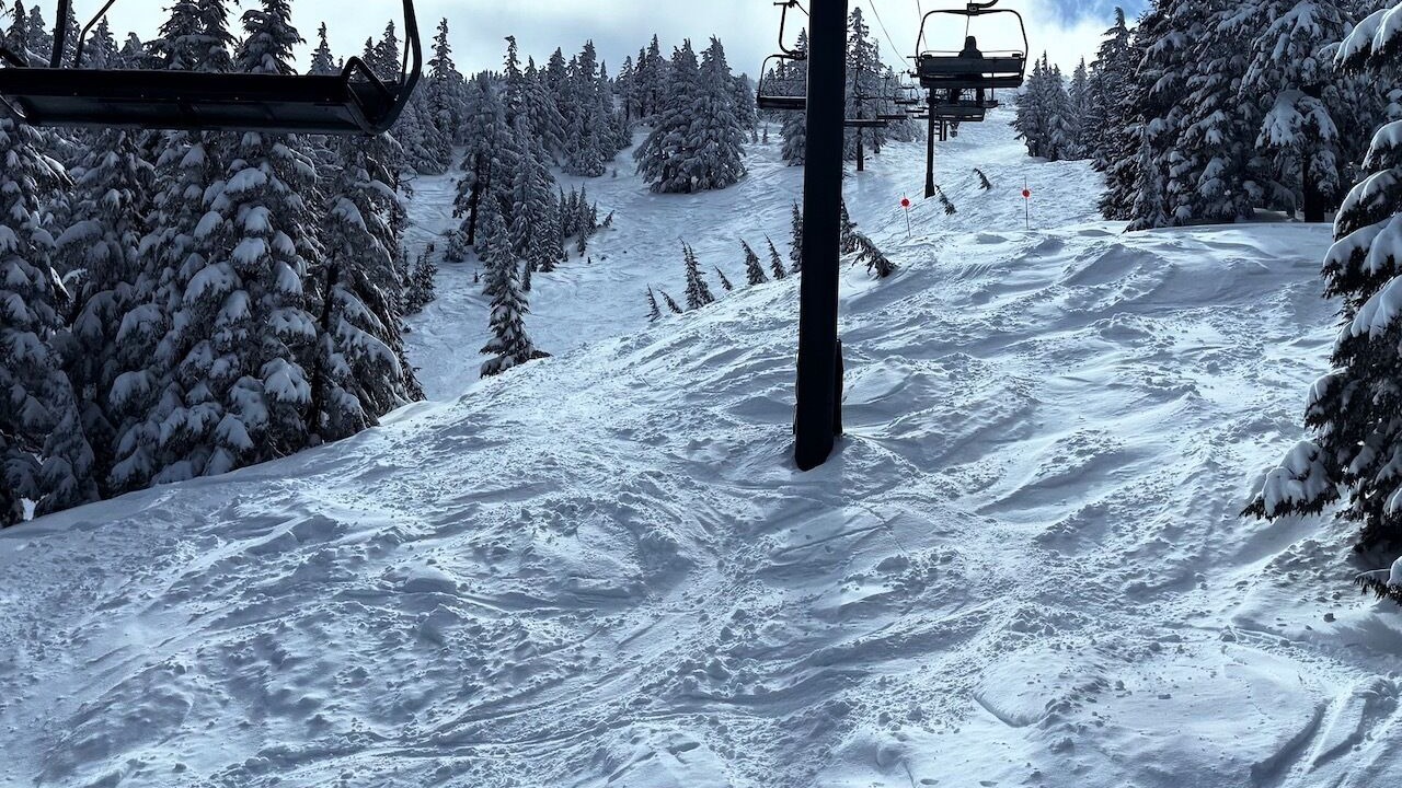 Photo of Others in Southern Crossing