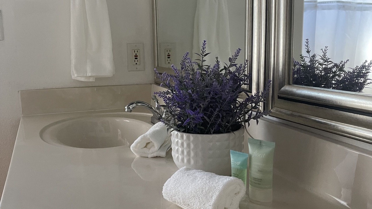 Photo of Bathroom in Point Venture