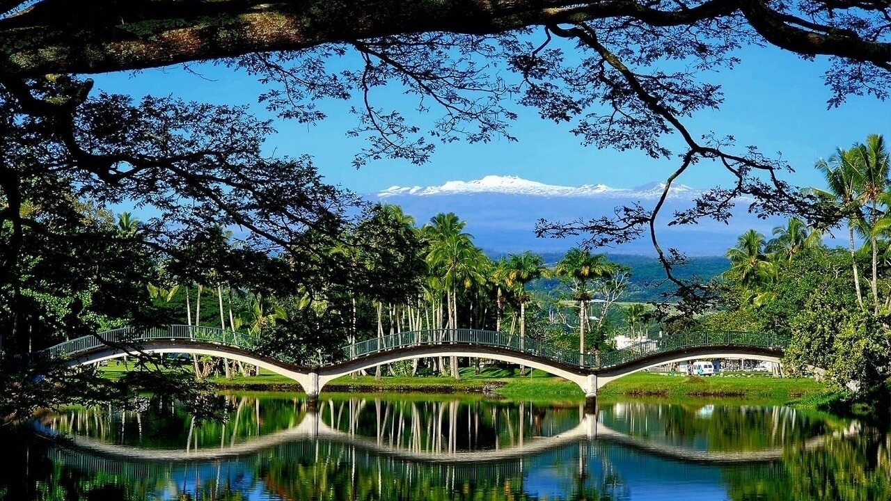 Photo of Outdoor in Hilo