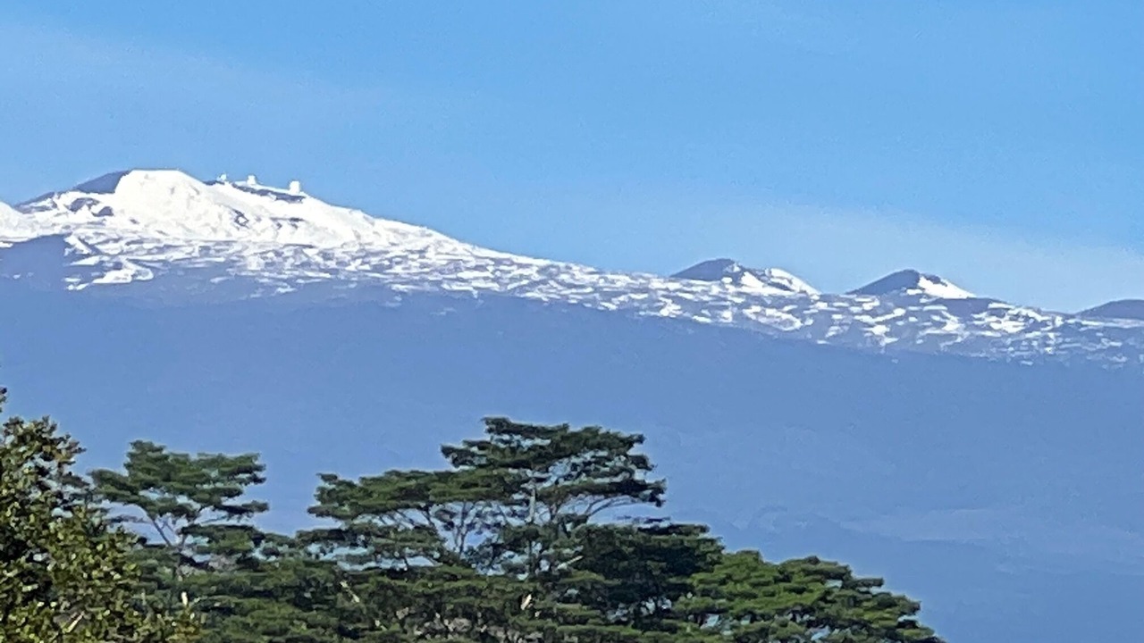 Photo of Others in Hilo