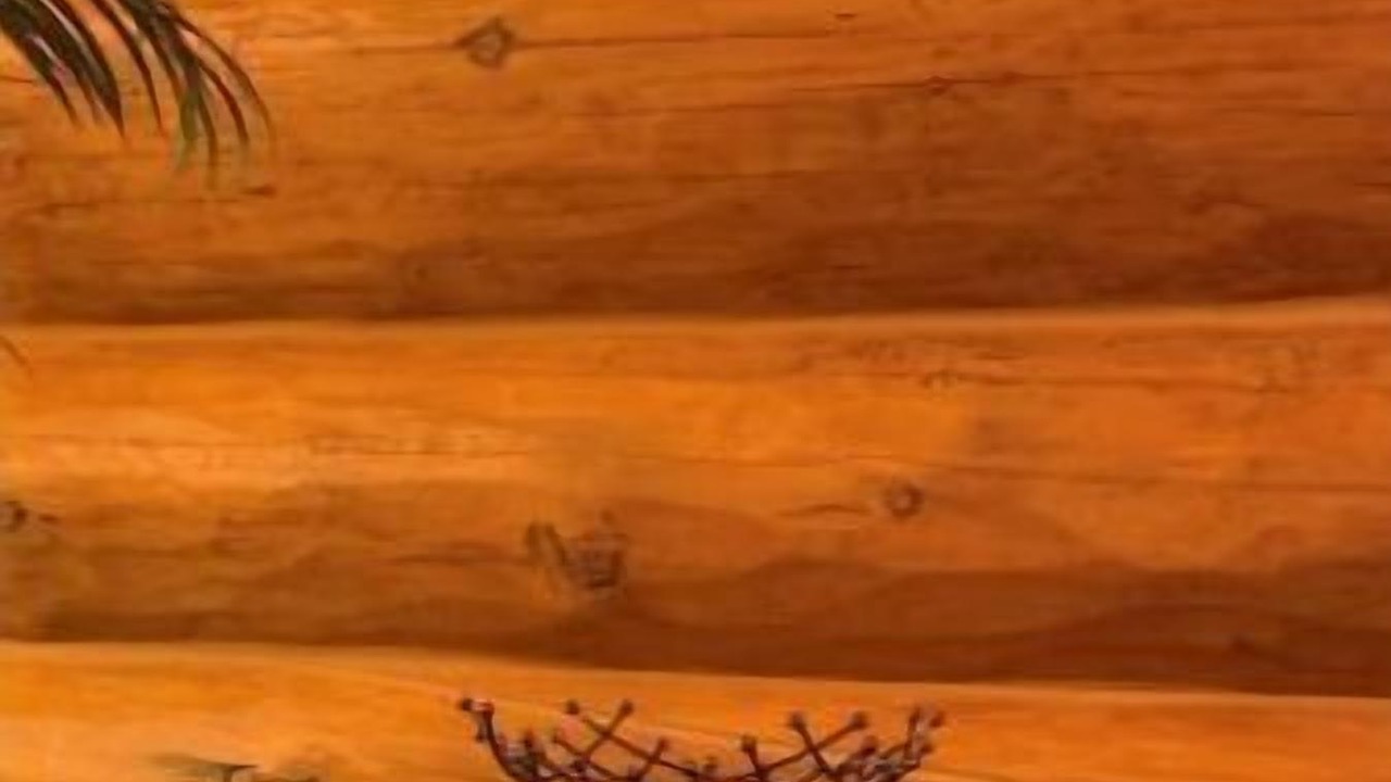 Photo of Others in Medical Lake