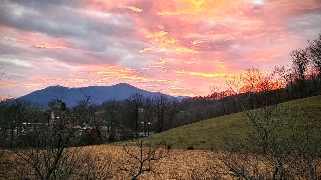 Photo of Others in Haywood County