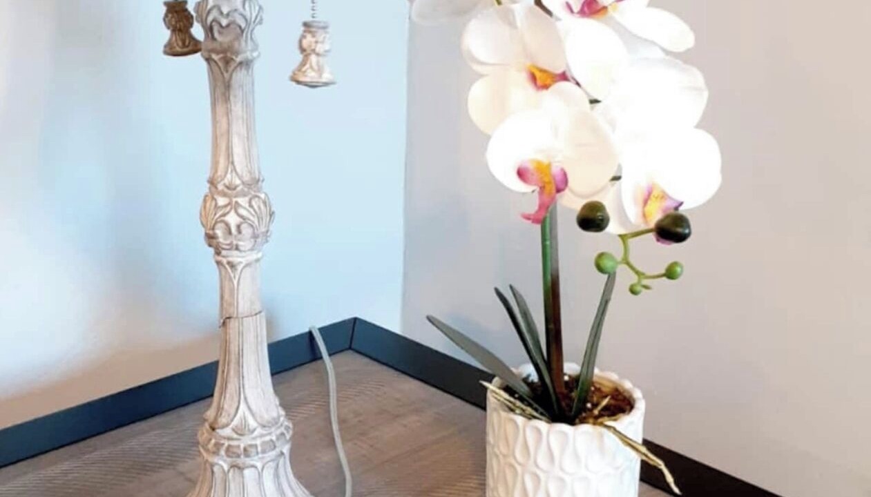 Photo of Others in Forest Grove