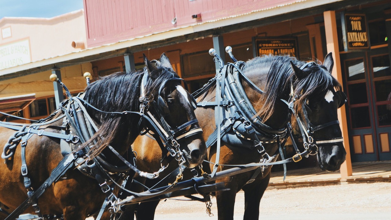 Photo of Others in Tombstone