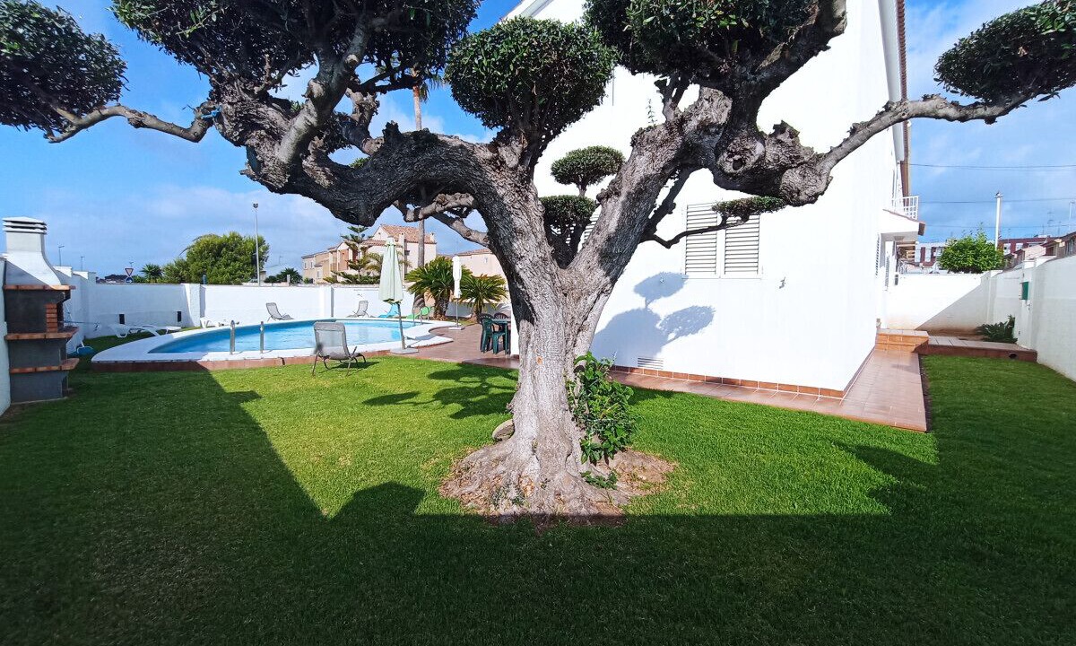Photo of Outdoor in Vinaros