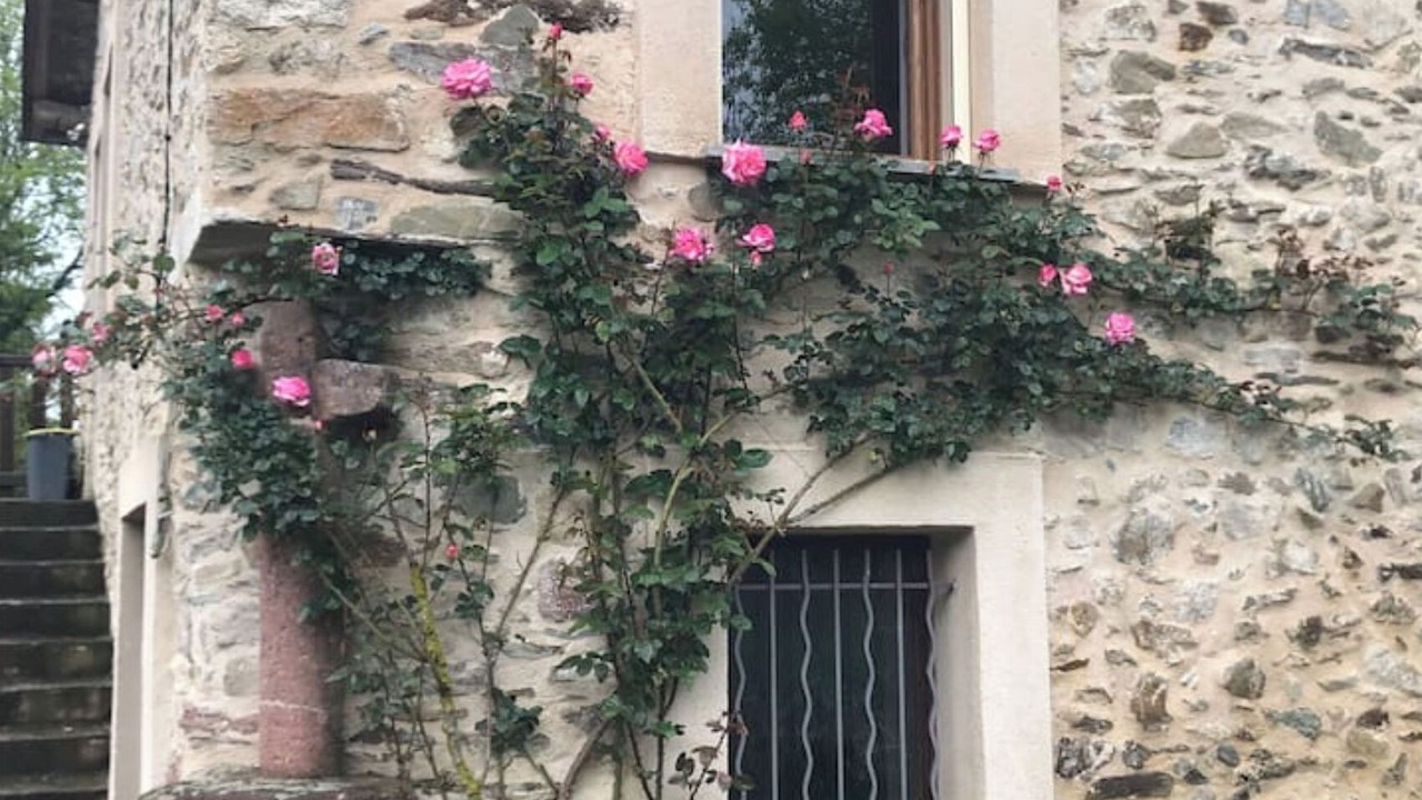 Photo of Outdoor in Moulin-Mage