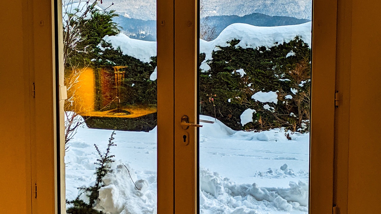 Photo of Others in Saint-Bernard
