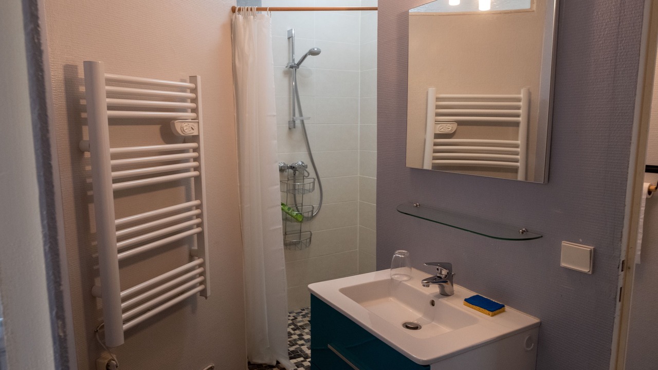 Photo of Bathroom in Saint-Bernard