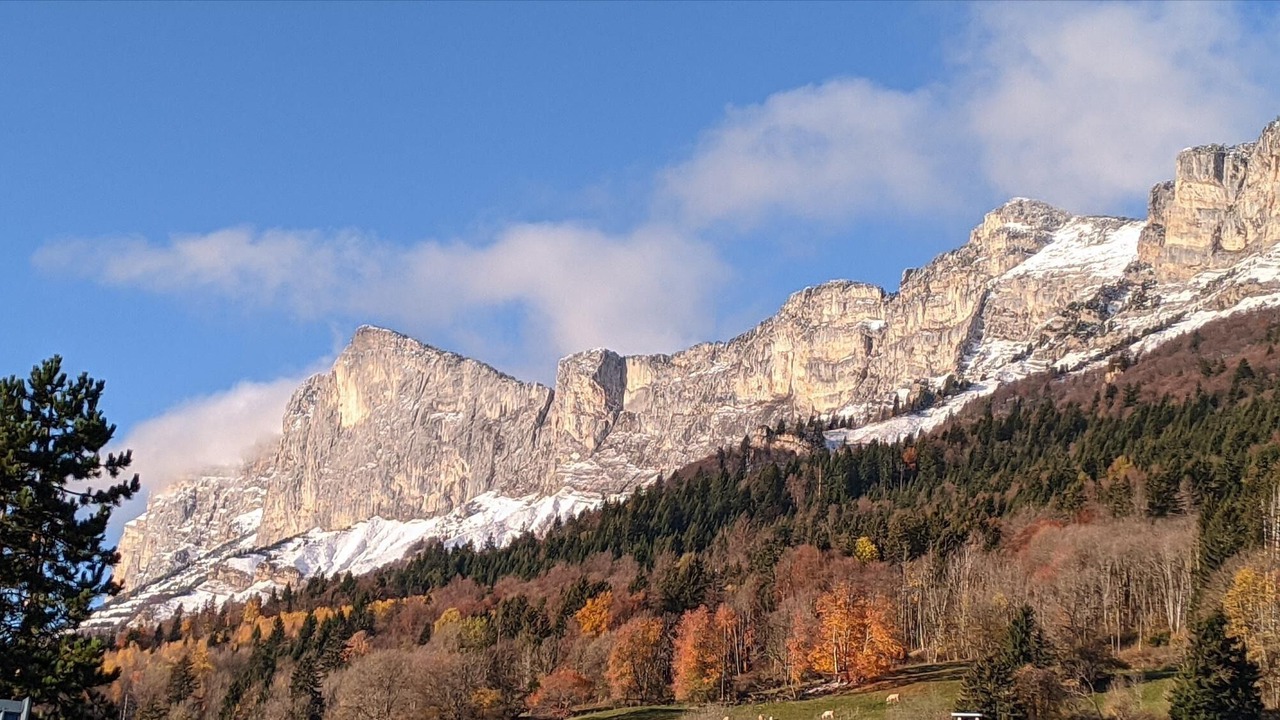 Photo of Outdoor in Saint-Bernard