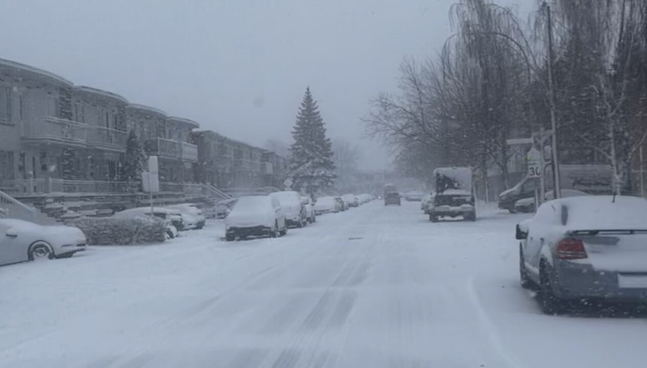 Photo of Outdoor in LaSalle