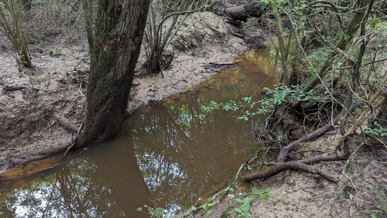 Photo of Others in Madison County