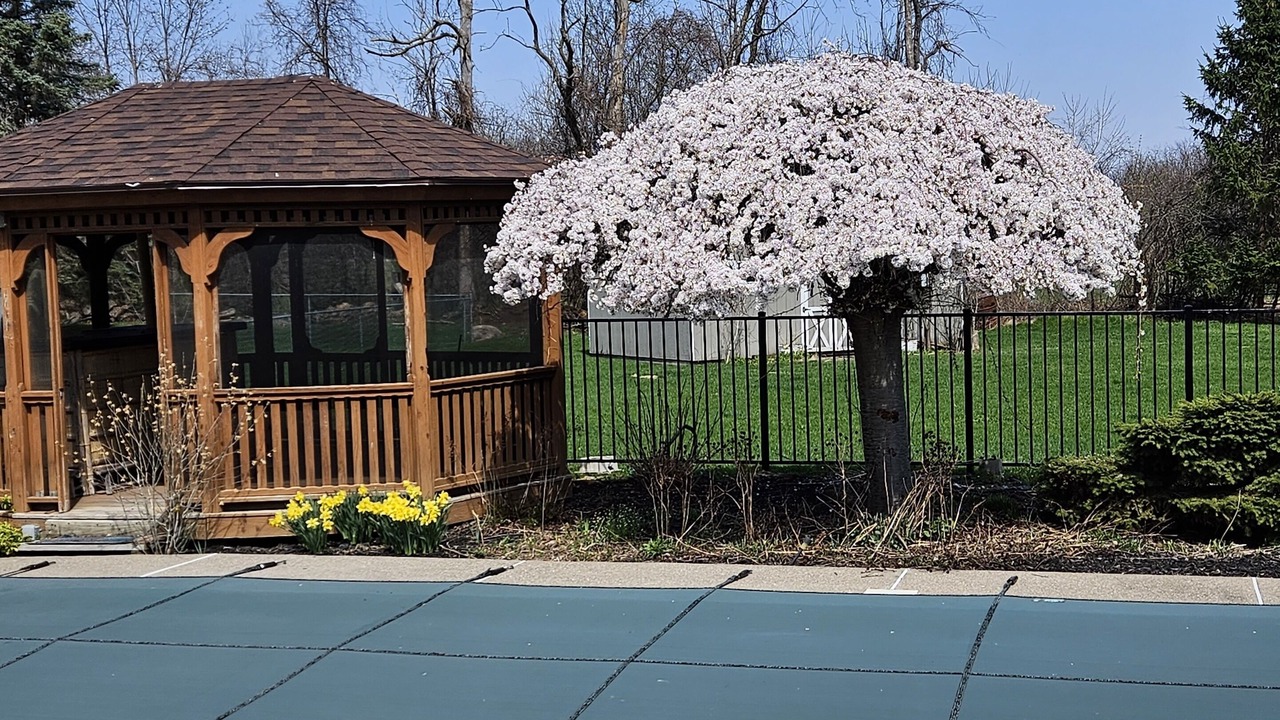Photo of Outdoor in West Henrietta